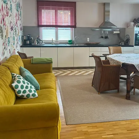 Apartment Im Loidls Traunkirchen