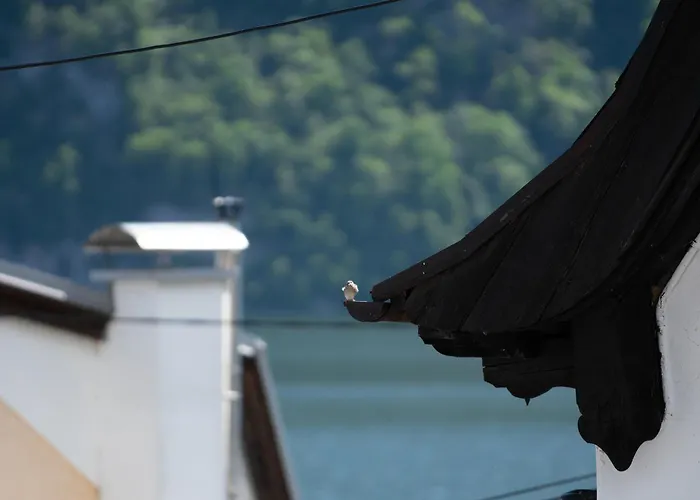 Apartment Im Loidls Traunkirchen